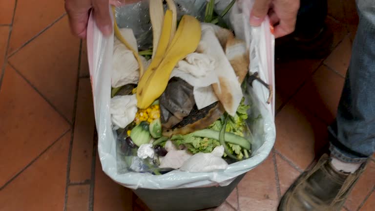 Trusted Crystal, MN Junk Removal Services Experts